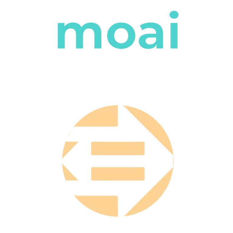 MOAI: REPORTING PROBLEMS IN THE CITY